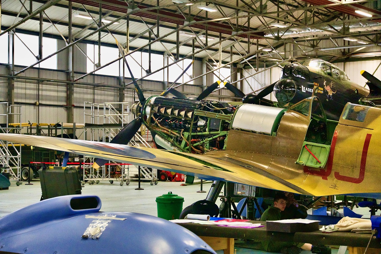aeronautics survey and inspection services